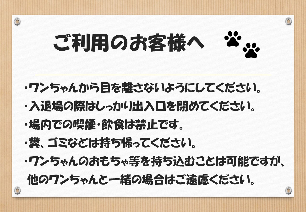 ドックラン